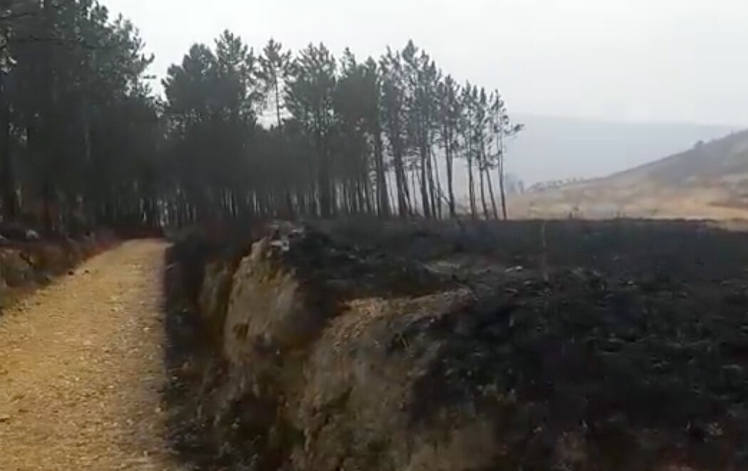 Los incendios en Asturias se estabilizan por la lluvia y el cambio de viento