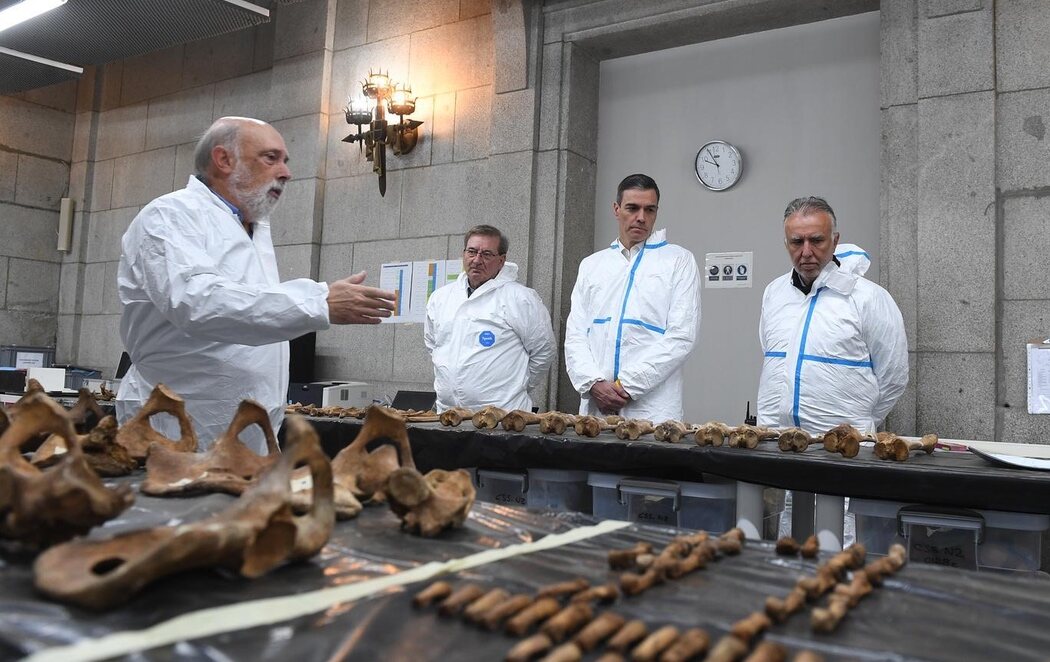 Pedro Sánchez visita en el Valle de Cuelgamuros las labores de exhumación de las víctimas del franquismo