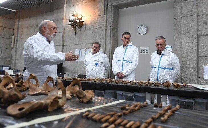 Pedro Sánchez visita en el Valle de Cuelgamuros las labores de exhumación de las víctimas del franquismo