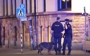 Varios detenidos tras un tiroteo en las inmediaciones de la Embajada de Israel en Suecia