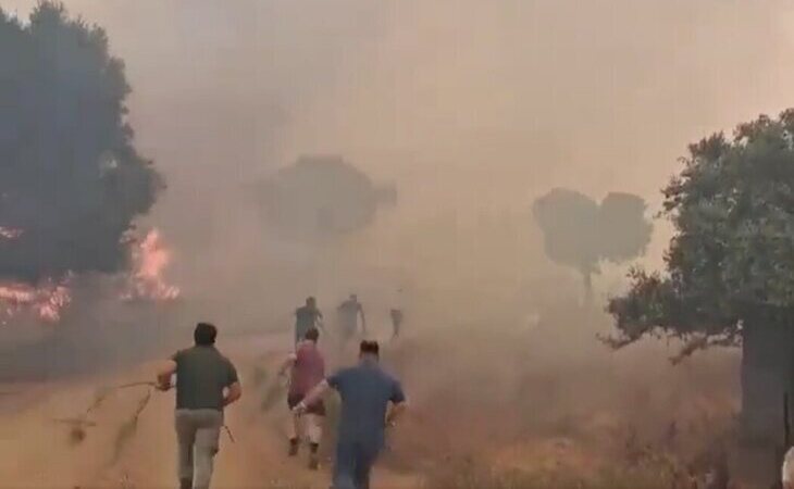 Estabilizado el incendio de Burguillos y Castilblanco (Sevilla)