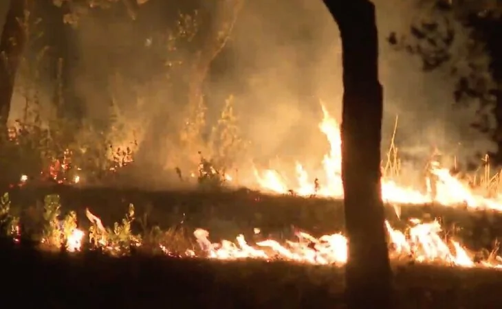 Un incendio en la Casa de Campo de Madrid afecta al bosque junto al Zoo: sospechan que fue intencionado