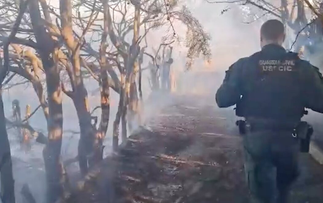 Tres detenidos y un investigado por provocar varios incendios en Madrid