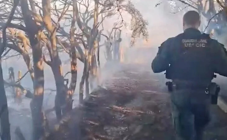 Tres detenidos y un investigado por provocar varios incendios en Madrid