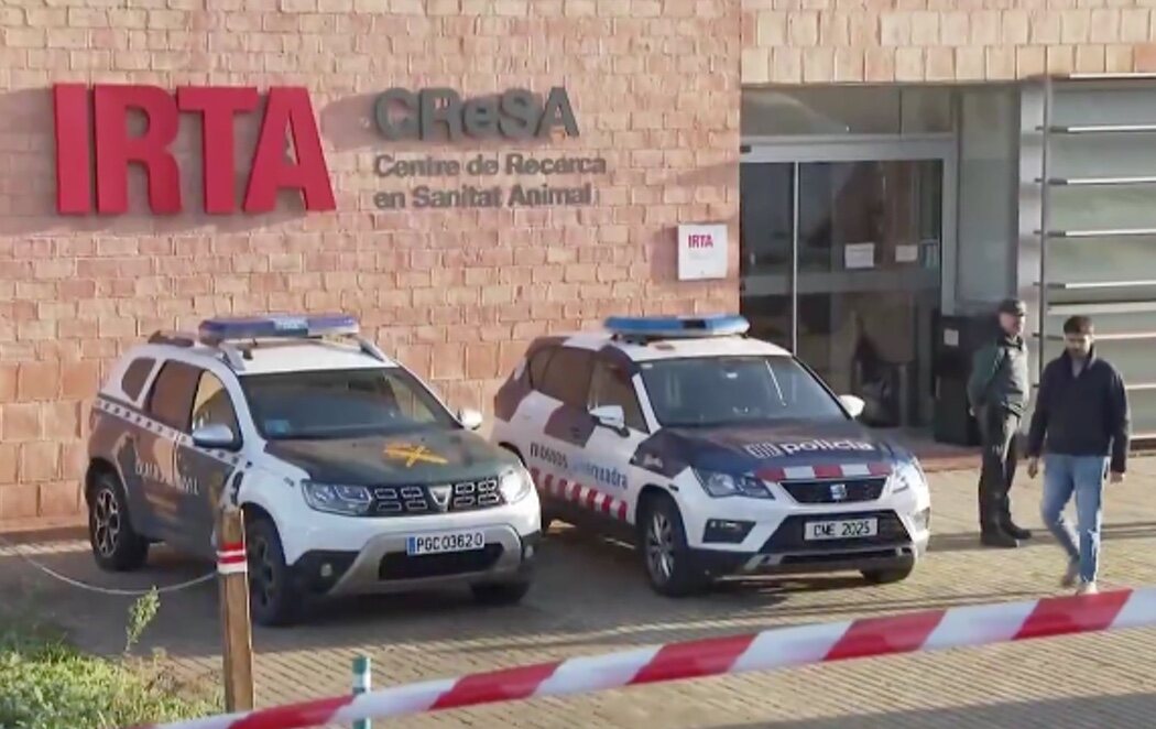 Registran el laboratorio investigado por el brote de peste porcina africana en Cataluña