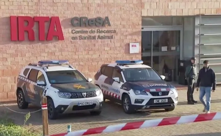 Registran el laboratorio investigado por el brote de peste porcina africana en Cataluña
