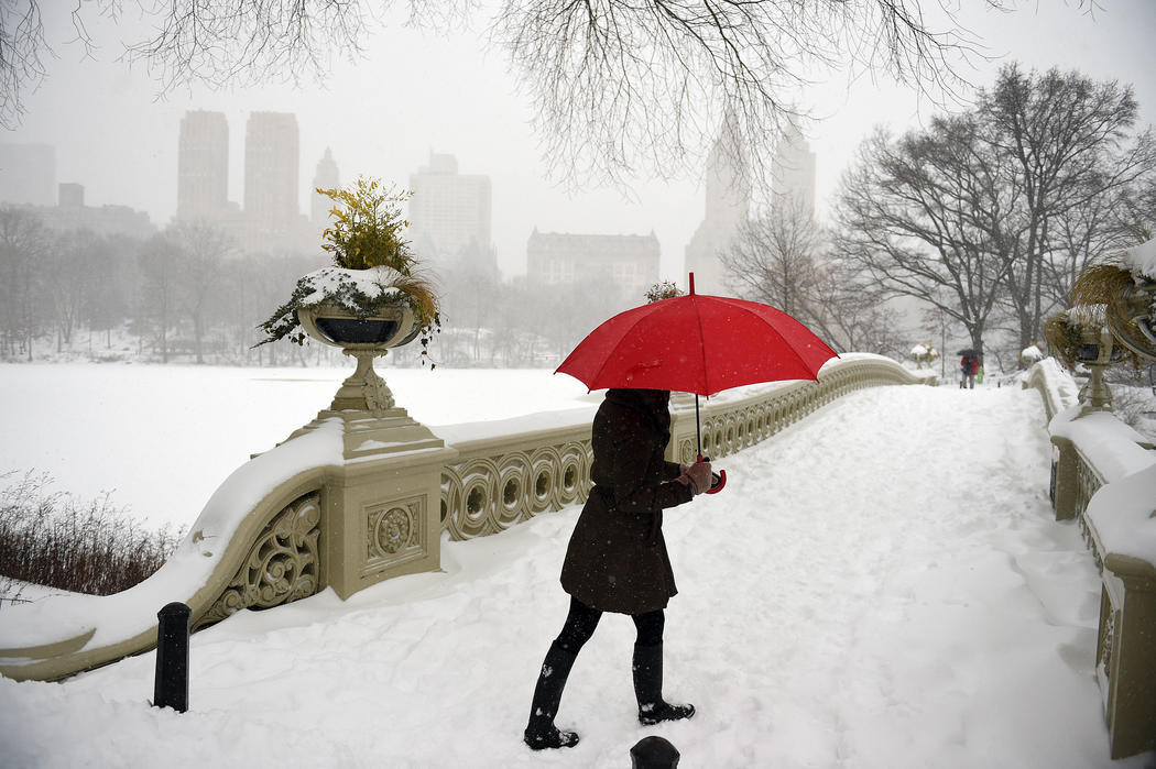 Central Park nevado