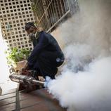 Caracas también lucha con el Zika