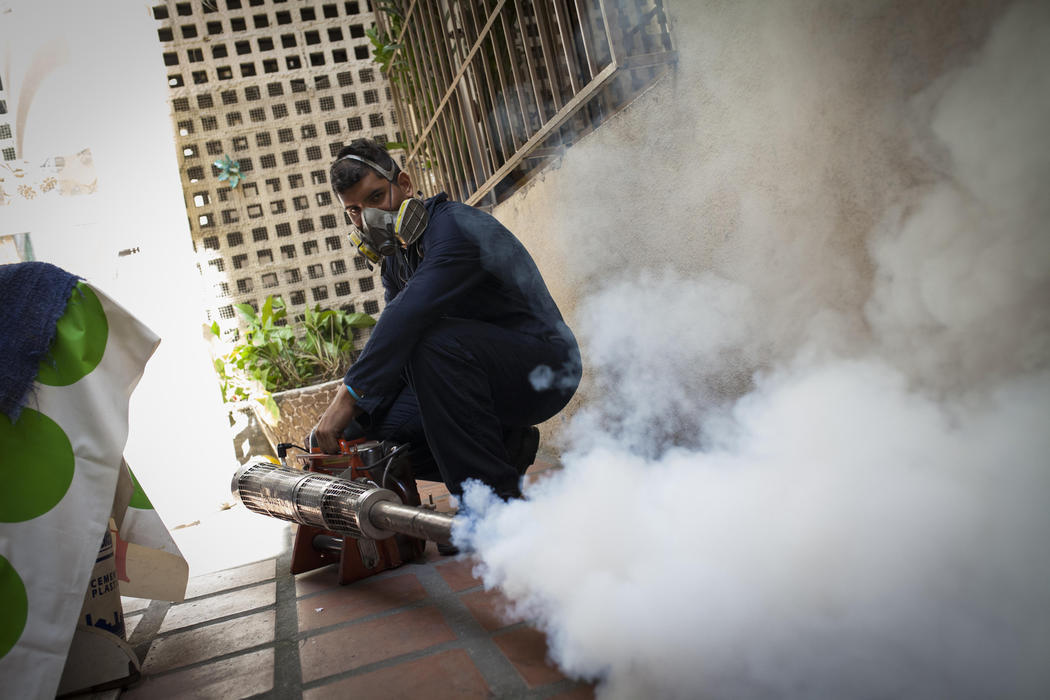 Caracas también lucha con el Zika