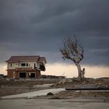 Una casa sin puertas ni ventanas se alza junto a un árbol en Fukushima cinco años después