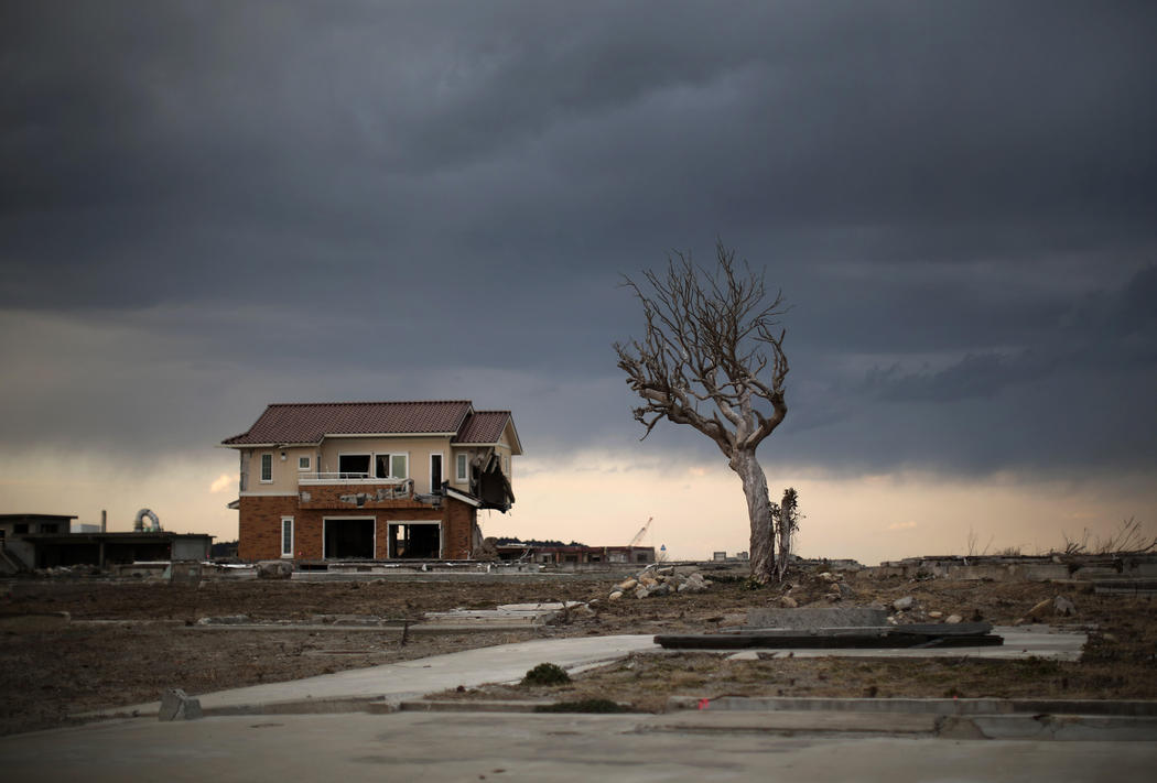 Una casa sin puertas ni ventanas se alza junto a un árbol en Fukushima cinco años después