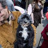 La perra Heidi se disfraza de Conejo de Pascua