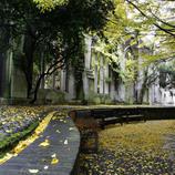 Un jardín secreto en el corazón de Londres