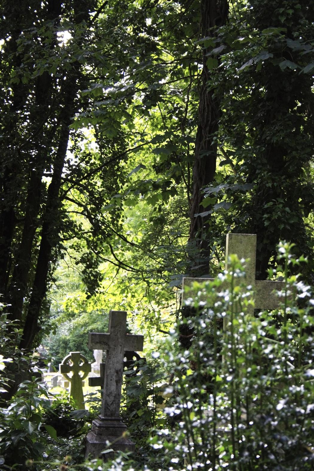 Visitar un cementerio no tiene por qué ser tétrico