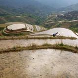 Extensos campos de arroz en China