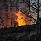 Las llamas dañaron gravemente la catedral de Notre Dame