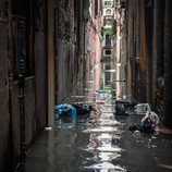 Las calles de Venecia, completamente inundadas