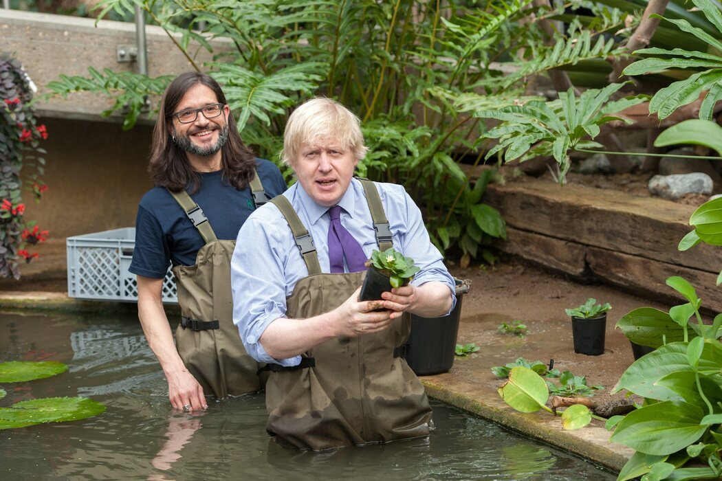 Boris Johnson se moja para plantar flores en el jardín botánico de Londres