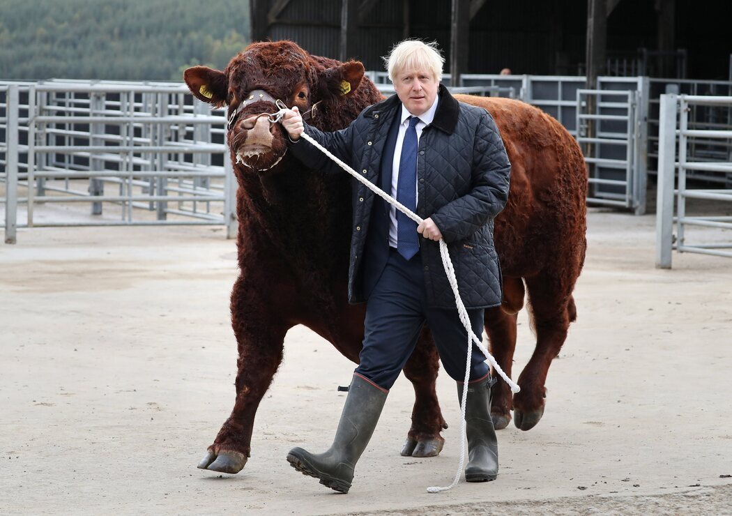 Johnson paseando un toro
