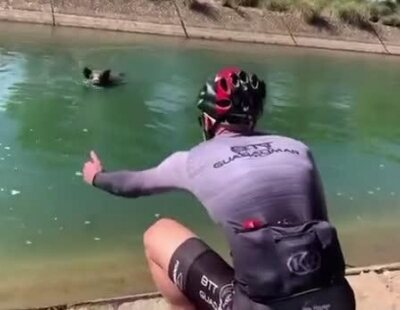 Un ciclista intenta rescatar a un jabalí de un canal y termina brutalmente atacado